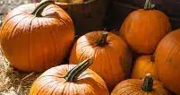 Why isn't there an English  word for a Jack O'Lantern?