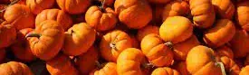 Why isn't there an English  word for a Jack O'Lantern?